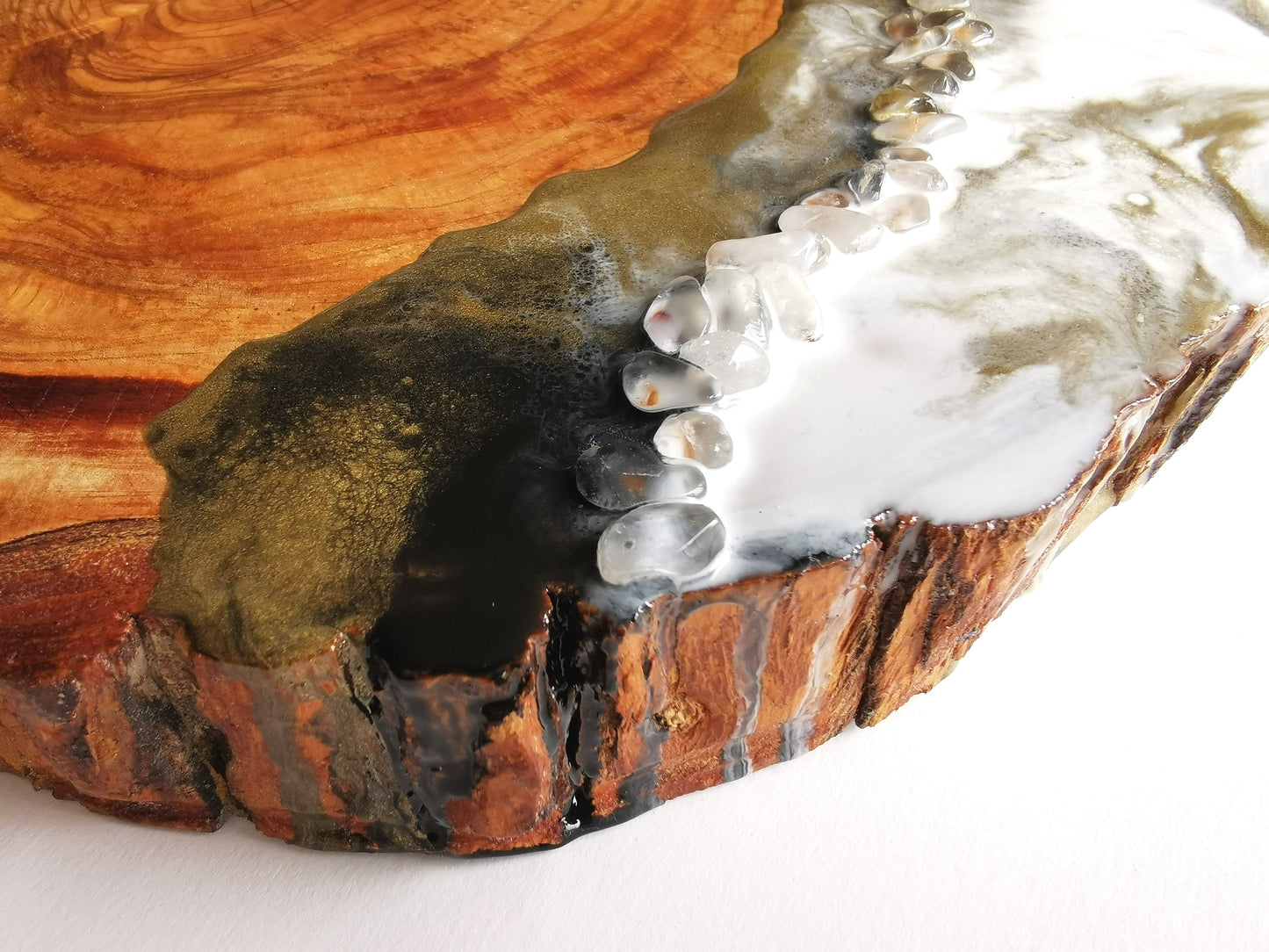 Olivo terra