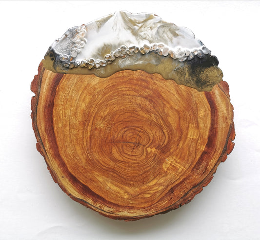 Olivo terra