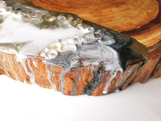 Olivo terra